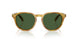 618571 - Tortoise - Bottle Green