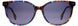 STATE Optical Co. ROSCOESUN Sunglasses