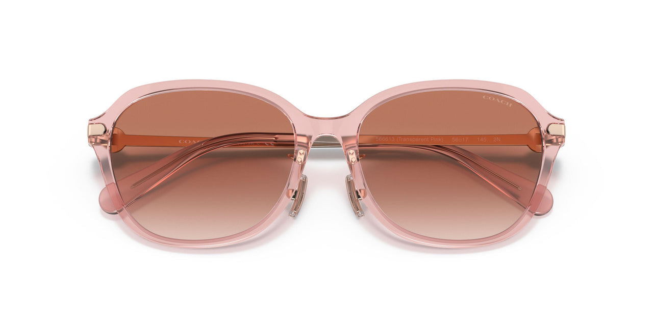 566613 - Pink - Pink Gradient