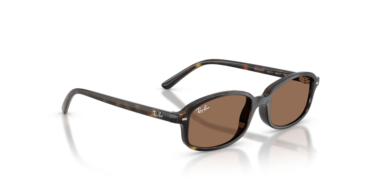 152/73 - Tortoise - Dark Brown