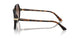 W65613 - Brown - Gradient Brown