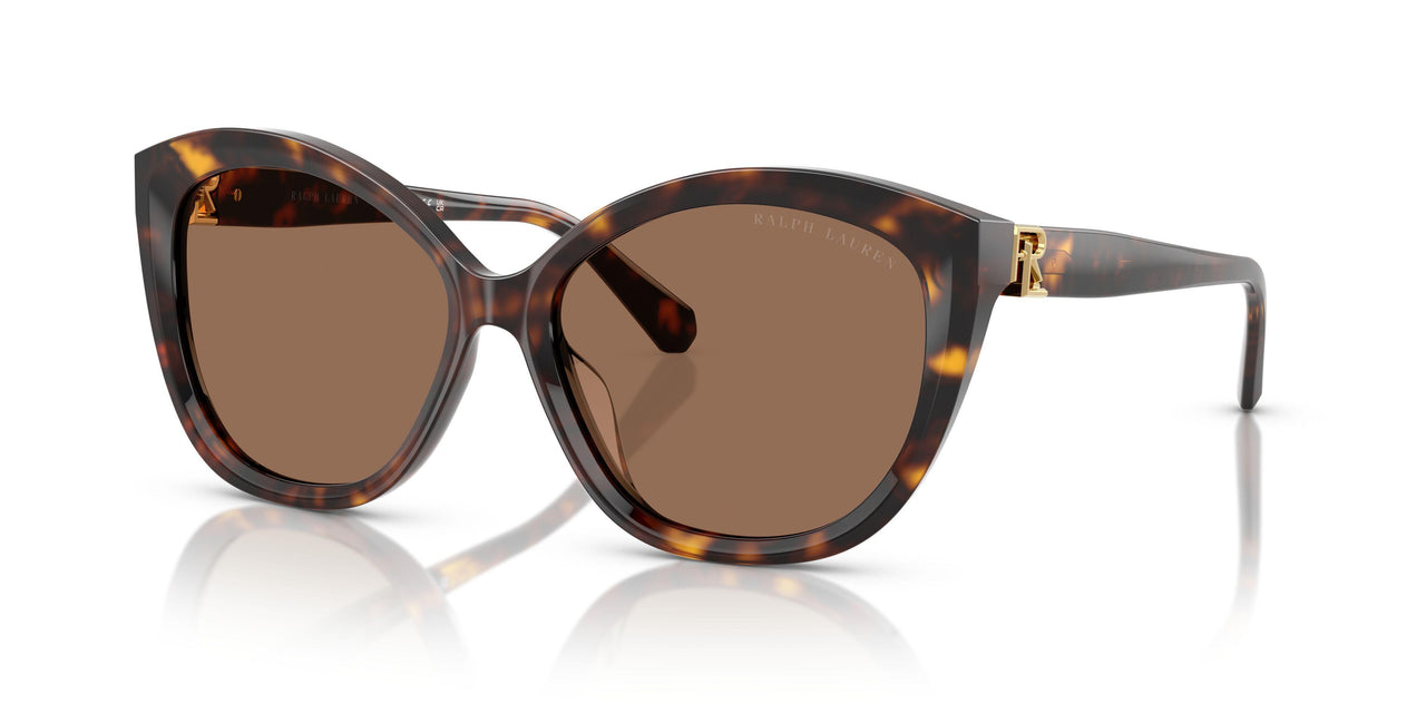 500373 - Brown - Brown