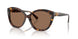 500373 - Brown - Brown