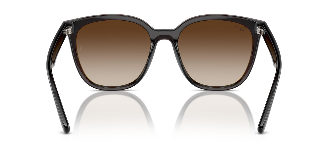 714/13 - Brown - Brown