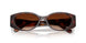 512074 - Tortoise - Brown Gradient