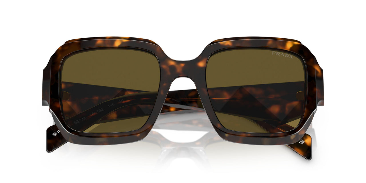 14L09Z - Green - Dark Brown