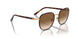 112651 - Gold - Gradient Brown