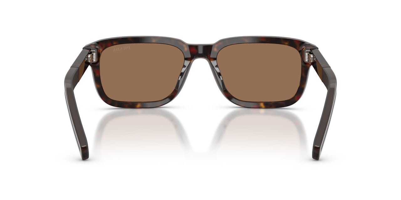17N60M - Tortoise - Dark Brown