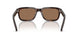 17N60M - Tortoise - Dark Brown