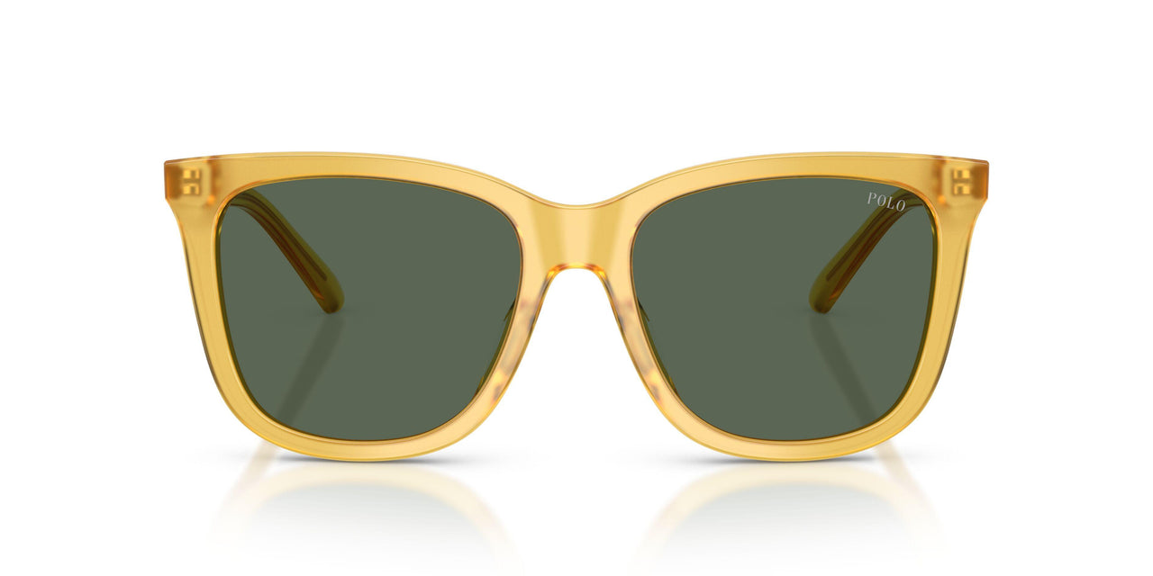 500571 - Yellow - Green