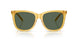 500571 - Yellow - Green