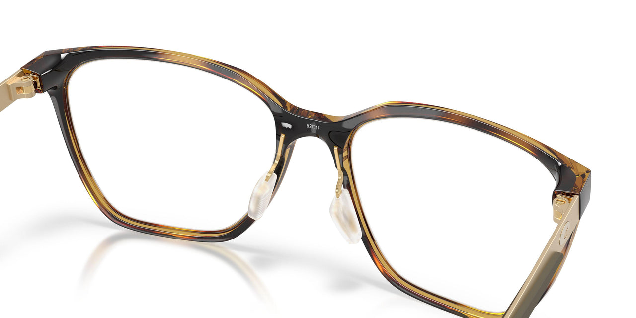 801304 - Tortoise