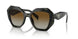 19D6E1 - Black - Polar Brown Gradient