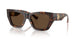 300273 - Brown - Dark Brown