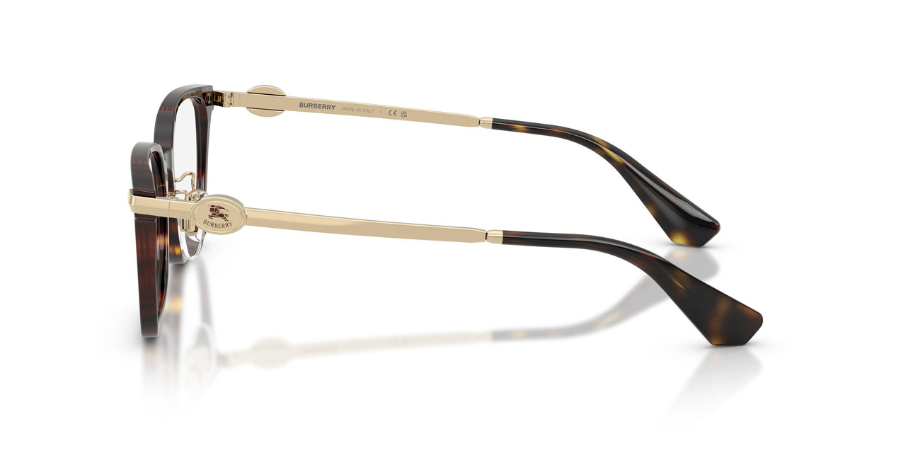 3002 - Brown
