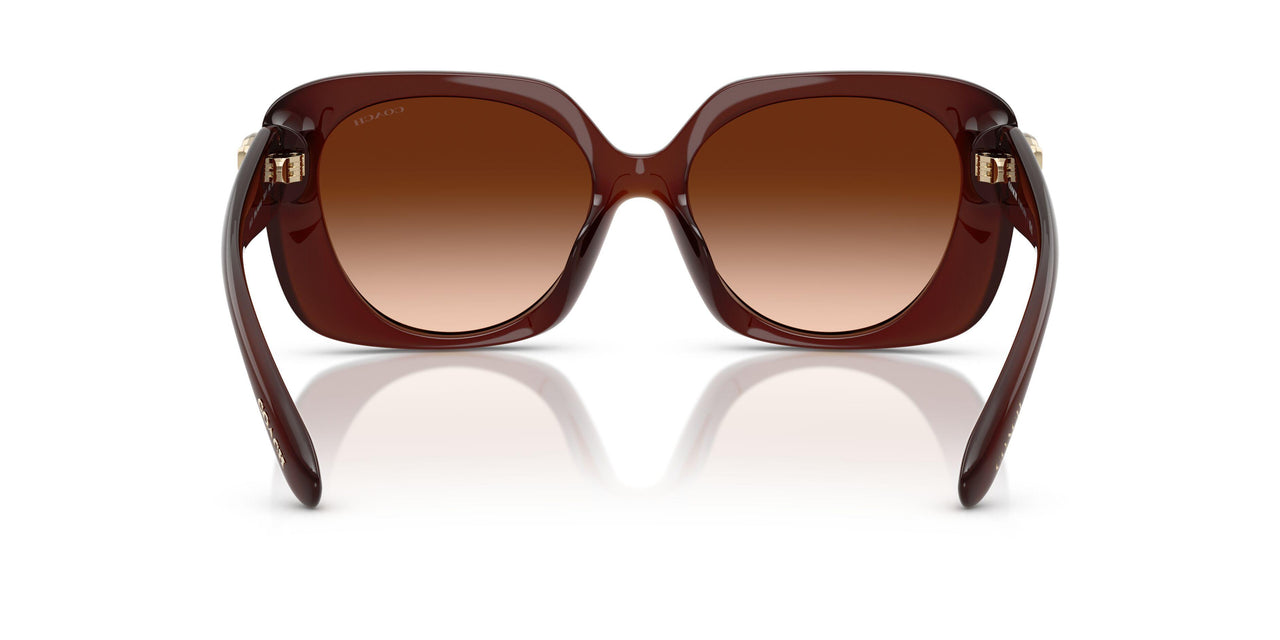 584174 - Brown - Brown Gradient