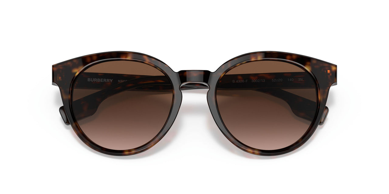 300213 - Havana - Brown Gradient
