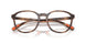 5974 - Tortoise