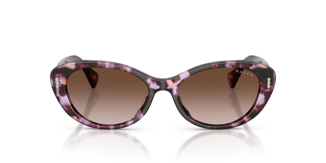 634213 - Violet - Gradient Brown