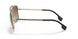 100289 - Gold - Grey Gradient Brown