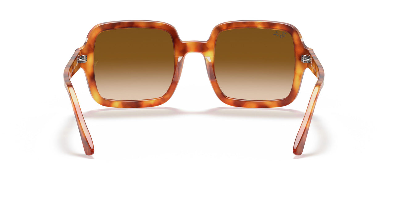 130051 - Red - Clear Gradient Brown