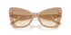 343213 - Brown - Clear Gradient Light Brown