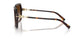 80153B - Tortoise - Brown Gradient