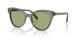 104382 - Green - Dark Green