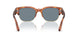 96/56 - Brown - Light Blue