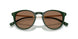 614073 - Green - Dark Brown