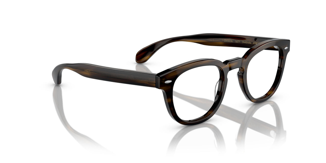 1677 - Brown
