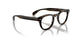 1677 - Brown