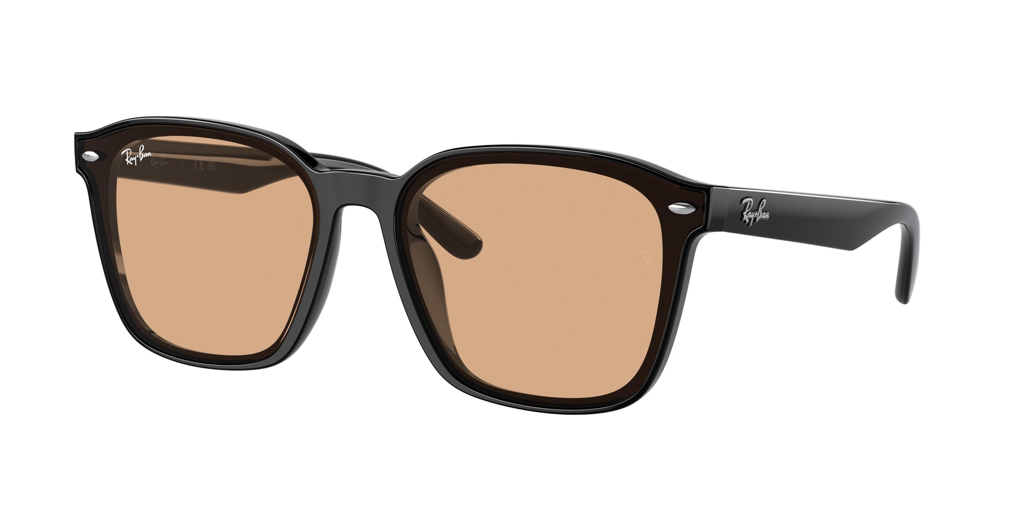 Ray-Ban 4392D Sunglasses Ray-Ban 4392D Sunglasses
