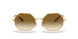 914751 - Gold - Clear Gradient Brown