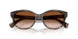 638313 - Grey - Gradient Brown