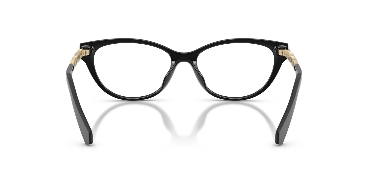 3005 - Black