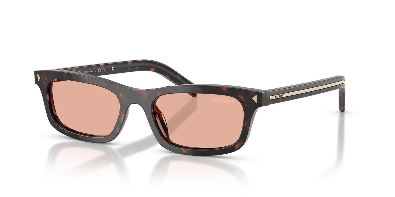 17N50W - Tortoise - Pink