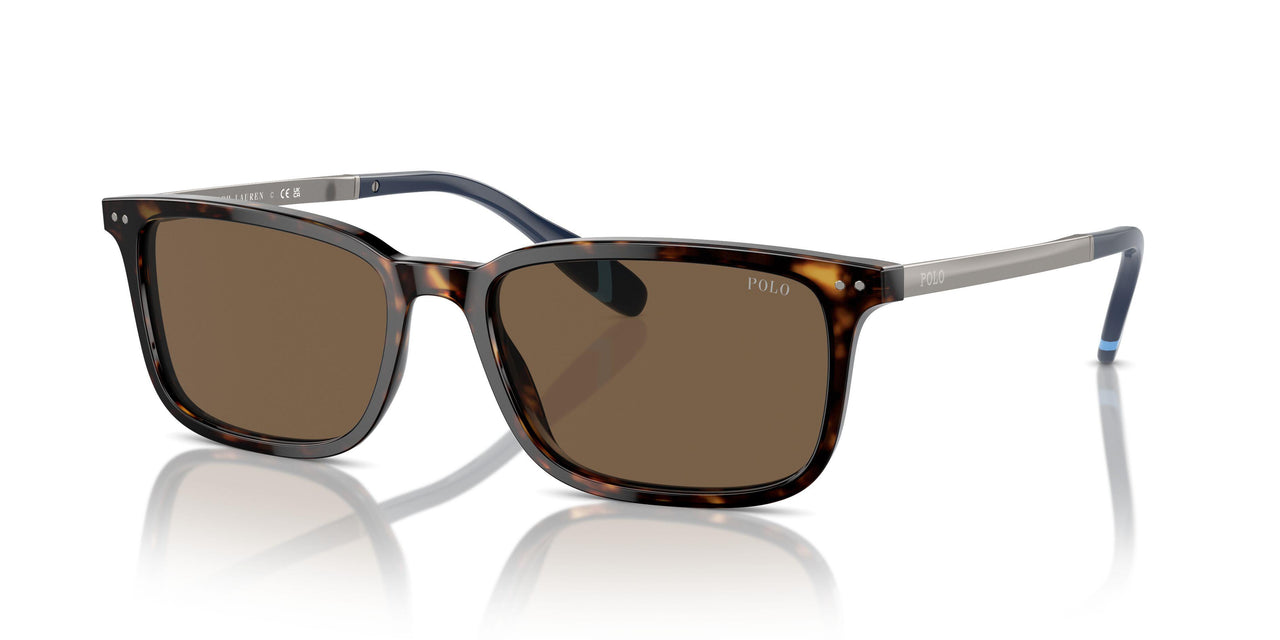500373 - Brown - Brown