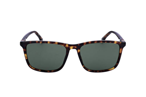 Hugo Boss BOSS1434_S Sunglasses