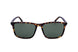 Hugo Boss BOSS1434_S Sunglasses