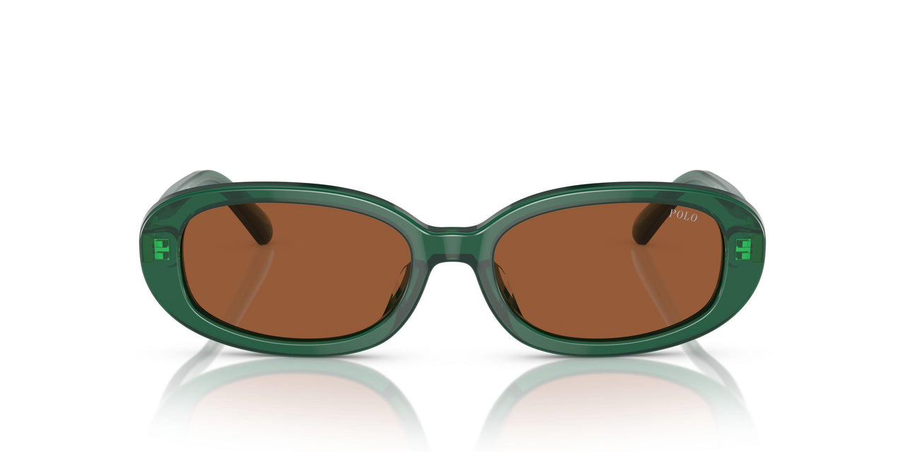619573 - Green - Brown