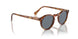 1483R8 - Havana - Indigo Photochromic