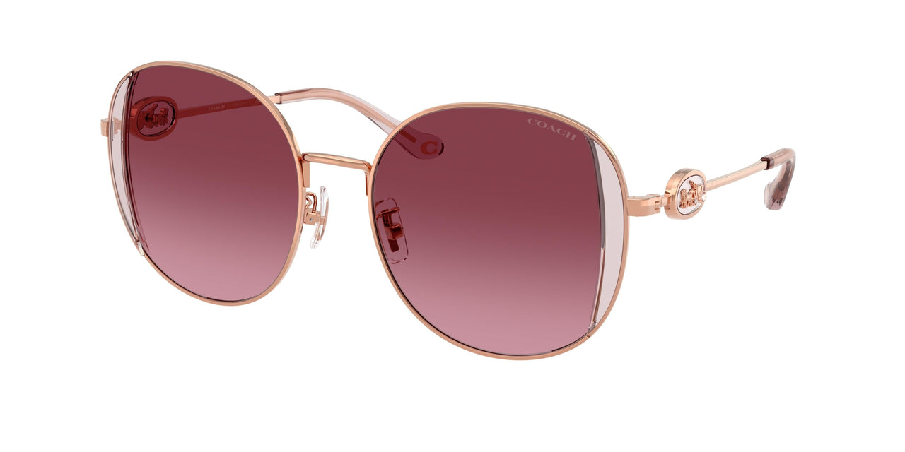 Coach Cad73 7176B Sunglasses