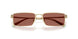 6244H2 - Gold - Brown