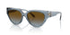 401413 - Blue - Brown Blue Gradient
