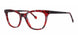 BRGNDTRTSBLCK - Burgundy Tortoise/Black