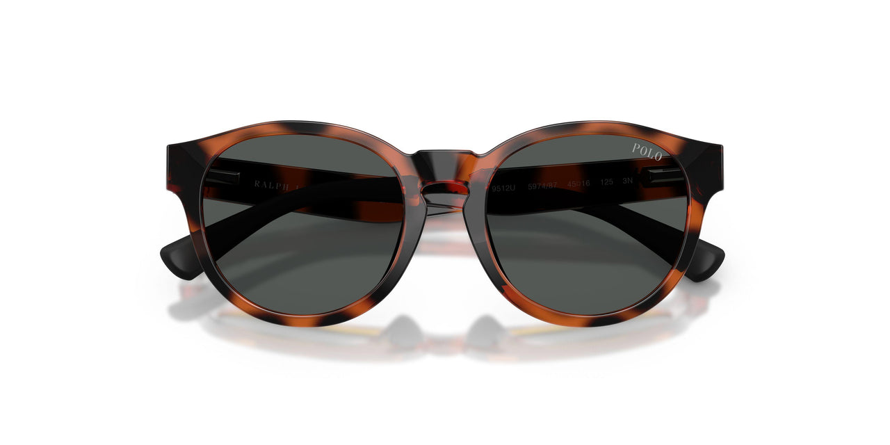 597487 - Tortoise - Dark Grey