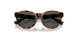 597487 - Tortoise - Dark Grey