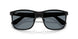 601S80 - Black - Blue Chromance