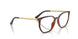 2012 - Brown - Clear